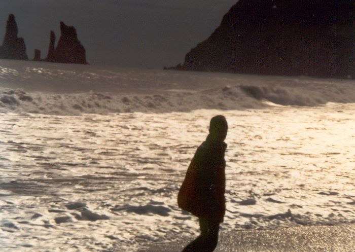 ../Images/242Vik i Myrdal.jpg